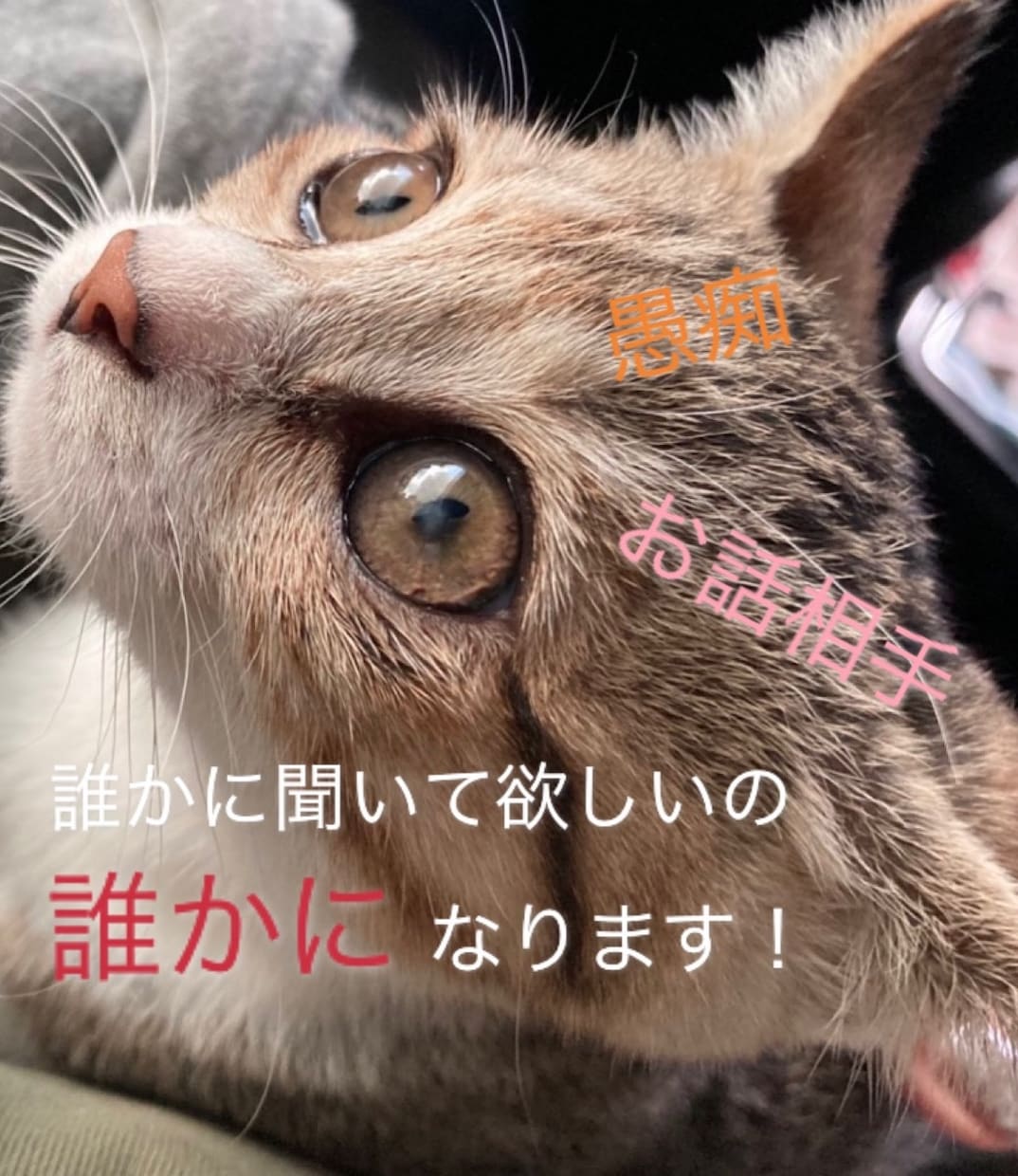 60分間雑談、愚痴聞きます 誰かと話したい時にお気軽に、誰にも話せない話や愚痴などもＯＫ イメージ1