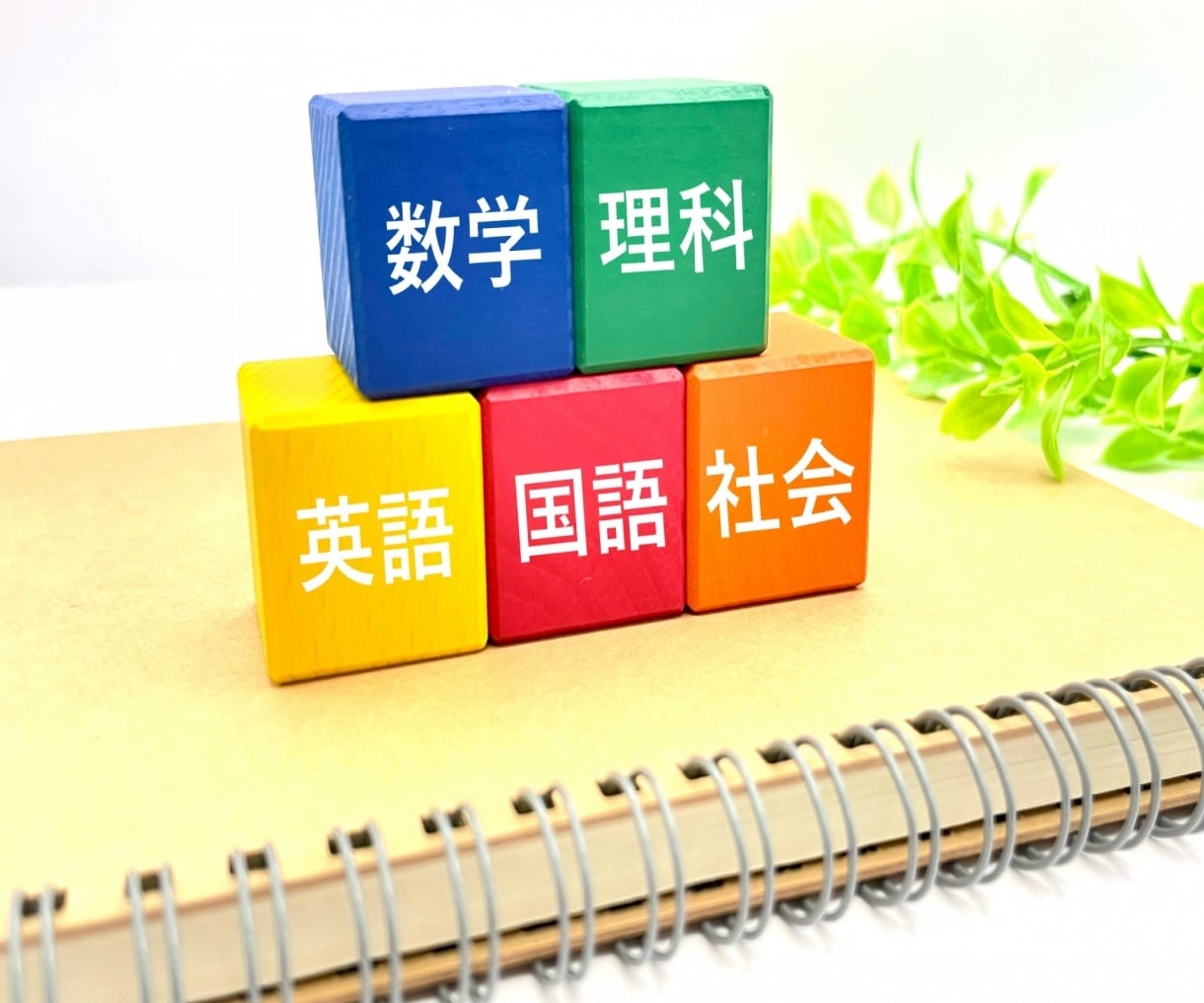 中学国語・高校入試国語の家庭教師をさせて頂きます 家庭教師指導歴10年の私が親切丁寧にご指導させて頂きます。 イメージ1