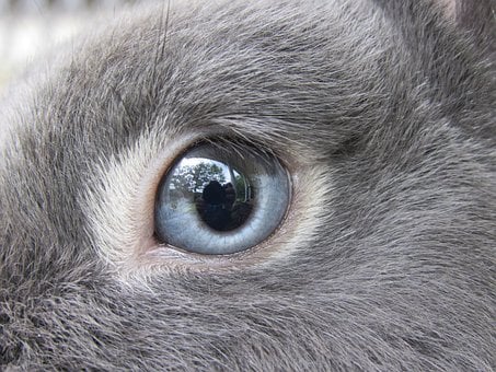 本当の【あなたがするべきこと】教えます カバラ数秘術で「本当の自分」「現世での使命」知ってみませんか イメージ3