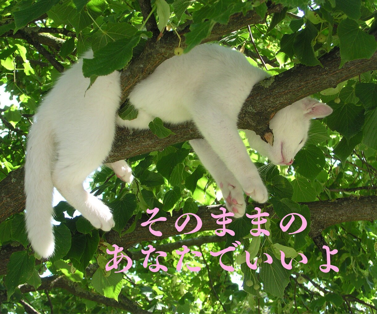 そばにいるよ♡ 話したいに 寄添います 心のホコリやチリを吐き出すことを日常に♡ イメージ6