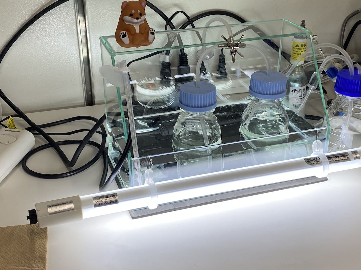 研究・テクノロジー関連のホームページを作ります 大学の准教授の会社が作るので、 業界用語が通じます！ イメージ3