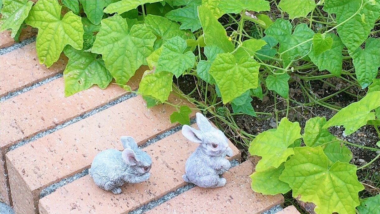 広告など様々な用途向け素材をご用意しております あなたはきっと感動するでしょう イメージ3