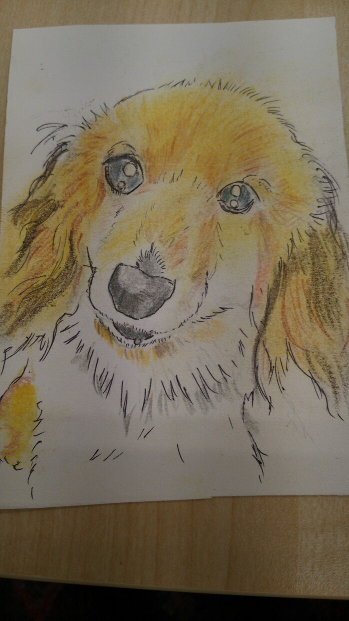 おうちのペットちゃんの似顔絵描きます ～うちの自慢の子を是非飾りたい方へ(*´∀｀)～ イメージ2