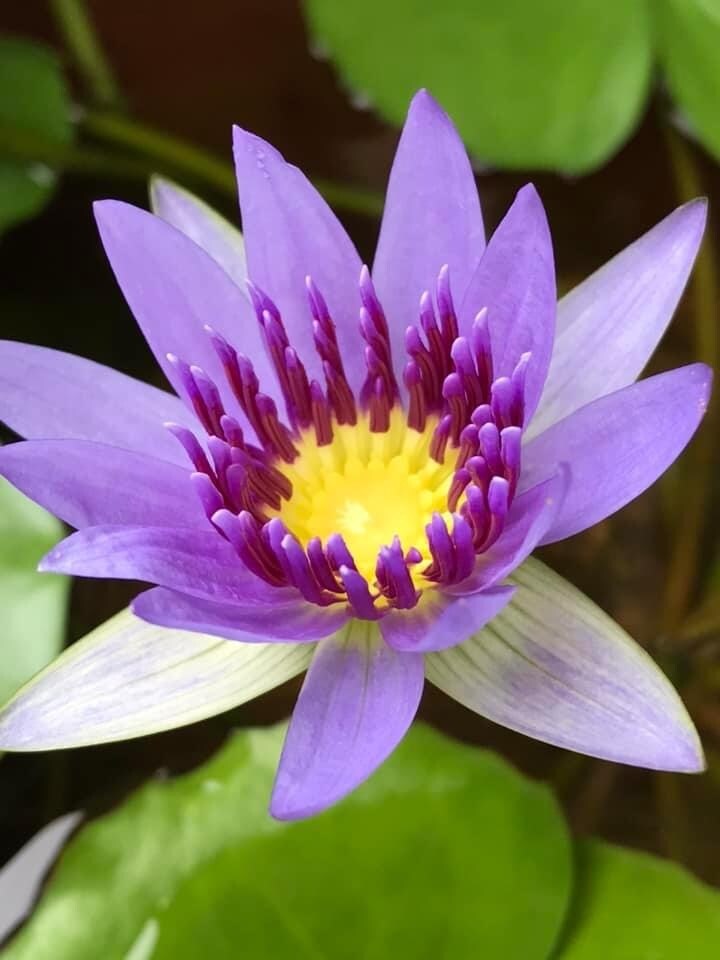 前世からのカルマ今世の歩み方、千里眼鑑定占いします あなたの前世からのカルマにて、今世与えられた試練や幸せを伝授 イメージ3