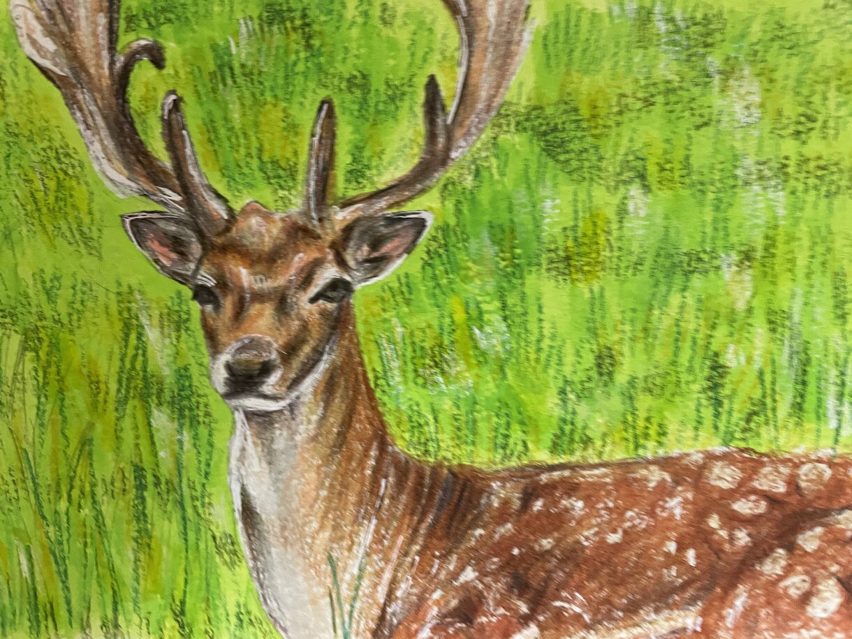 年賀状にも！色鉛筆で動物の絵を描きます 世界でたった一つだけ！動物の可愛い表情を生き生きと描きます イメージ5