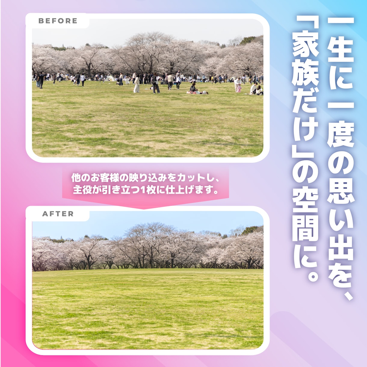 広告・Web用。高品質な写真素材の撮影代行をします プロの機材とレタッチ技術で、ビジネスに最適な写真を提供します イメージ2