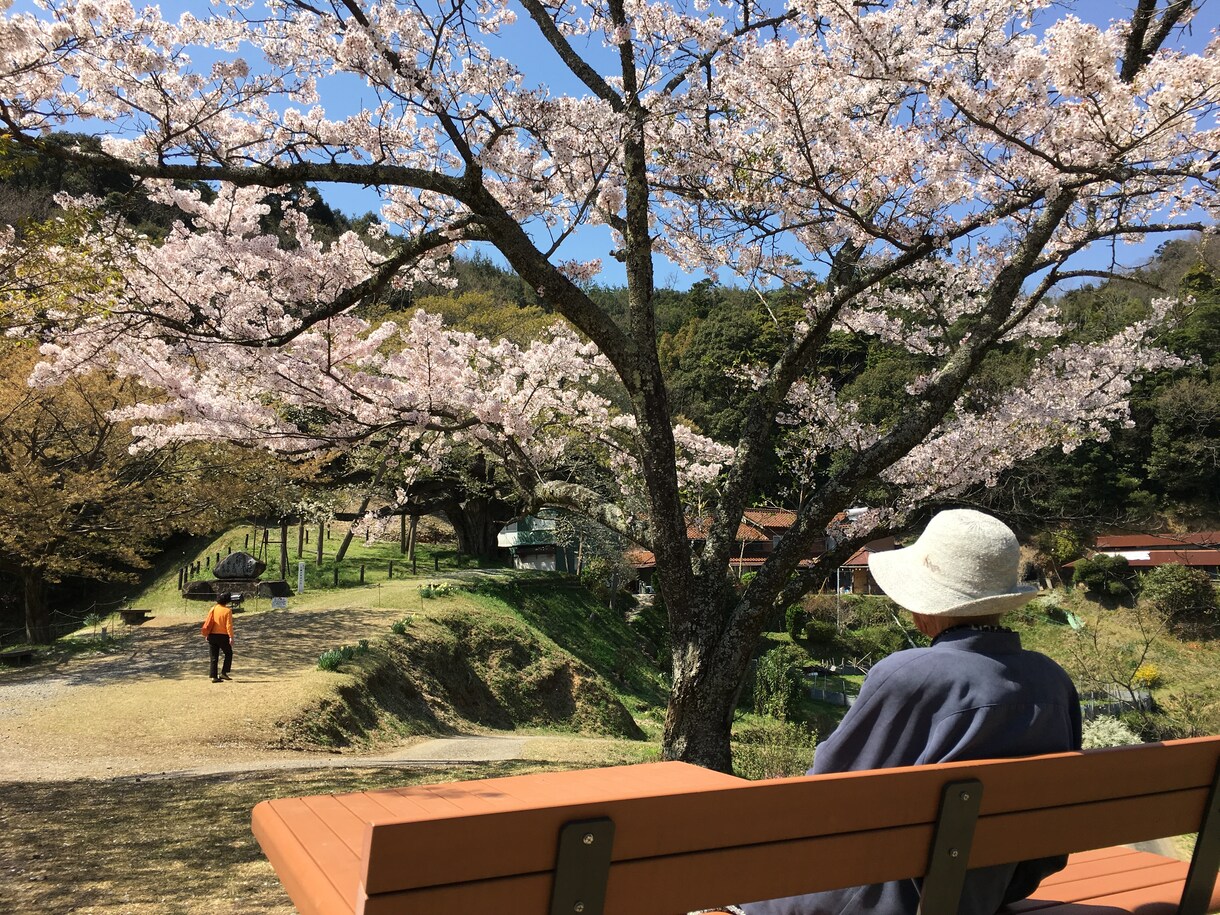 介護現場でのイロイロな愚痴を聴きます あなたは悪くない！言葉に出し、リセットし明日も優しい介護へ☆ イメージ2