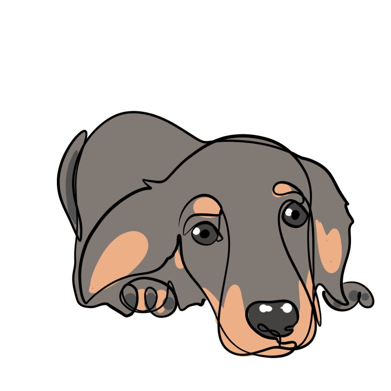愛犬をひと味ちがった可愛いイラストで描きます かわいい愛犬をアイコン記念日プレゼントなどにいかがですか？ イメージ2