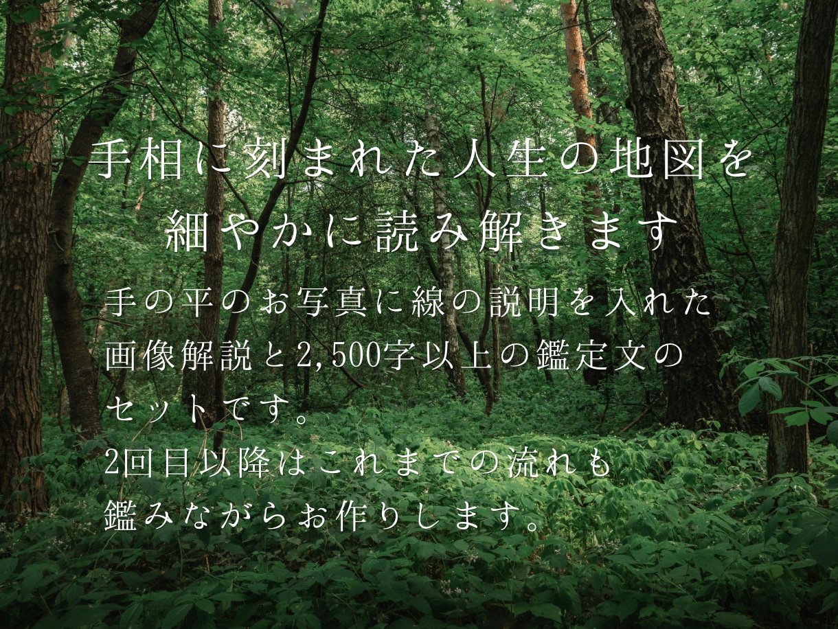 画像解説付き手相占いいたします ボリューム鑑定文と分かりやすい画像解説のセットです。 イメージ3