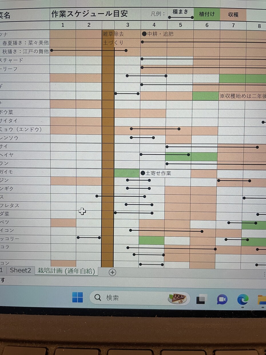 丸１年自給自足する家庭菜園スケジュールお渡しします 葉物野菜を年中切らさない菜園スケジュール表を差し上げます！ イメージ2