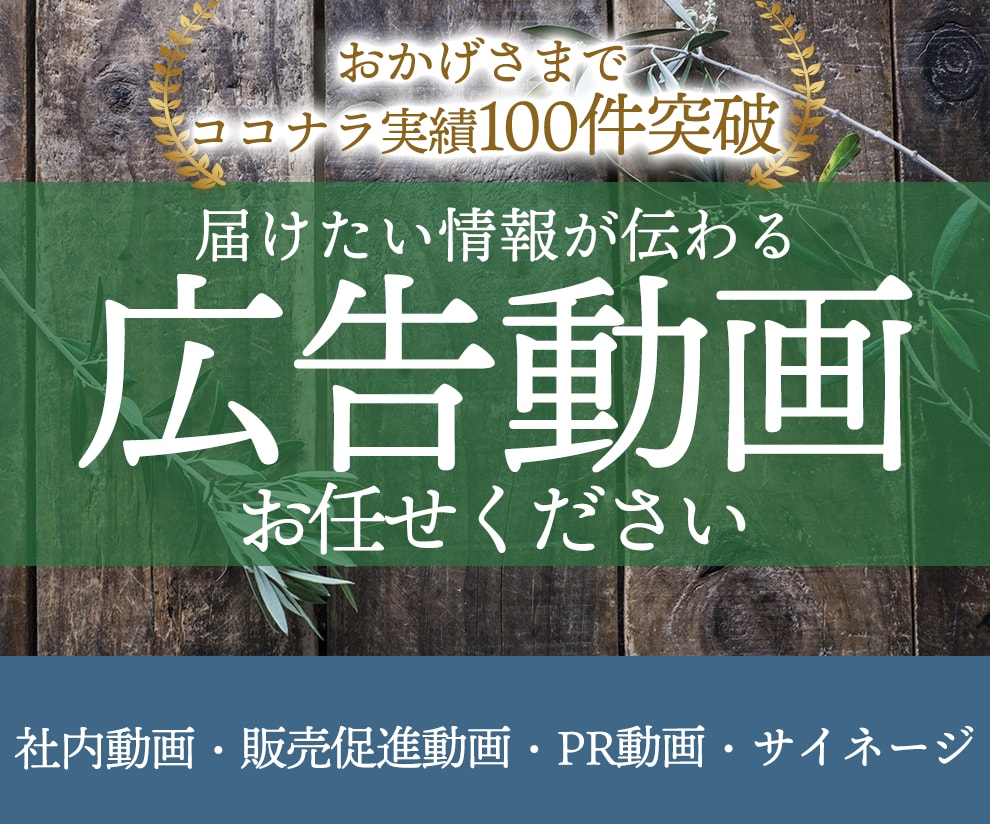 あなたの想いが「伝わる!」動画広告を制作します 動画広告・PR動画・社内動画など丁寧に制作いたします！ イメージ1