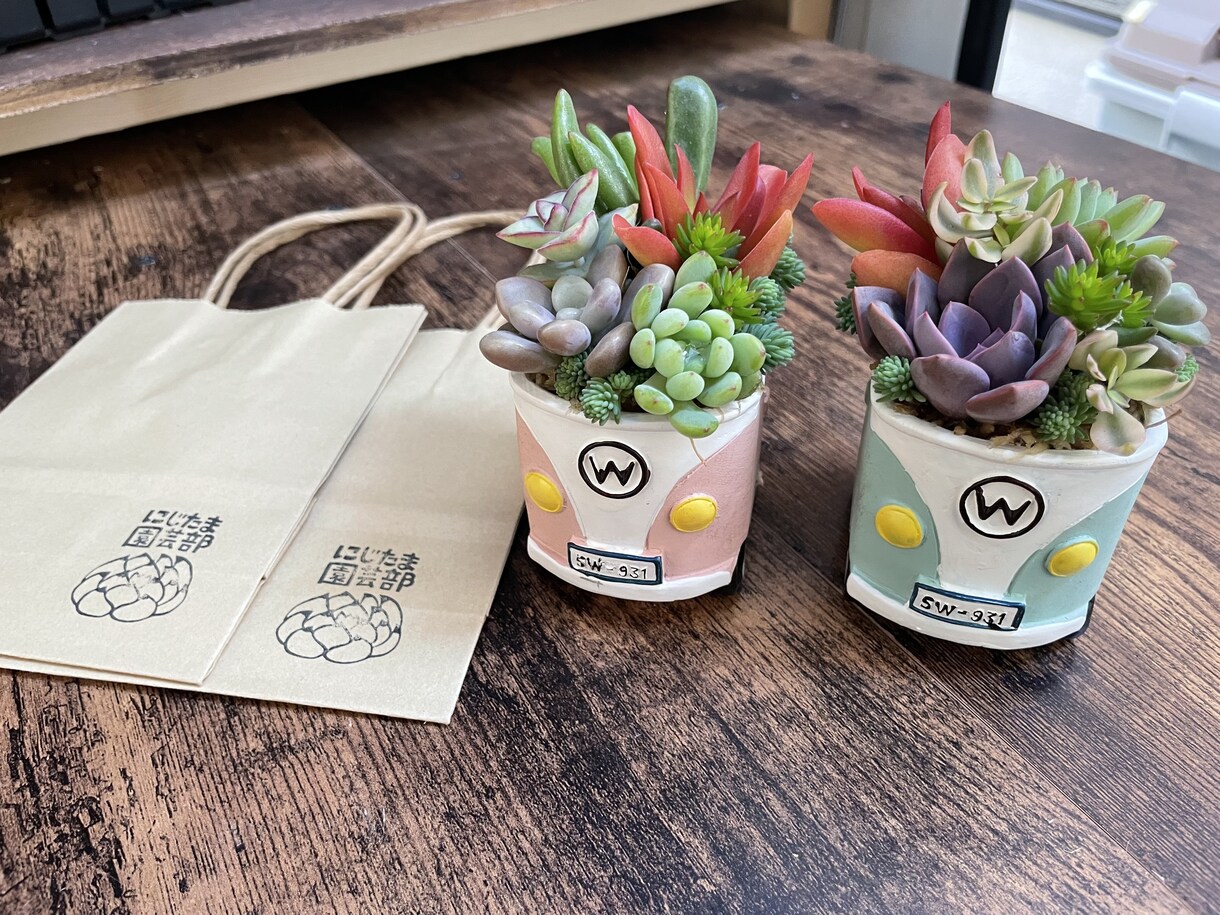 多肉植物の寄せ植えお作りします 多肉植物の専門家があなたにピッタリの寄せ植えをお作りします イメージ10