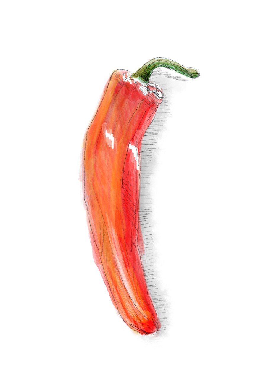 繊細な植物・果物・野菜のイラストを描きます みずみずしく印象に残るイラストです。 イメージ4