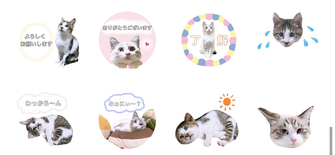 ペットのオリジナルLINEスタンプ作成します あなたのペットの写真で可愛いスタンプつくります☆ イメージ4