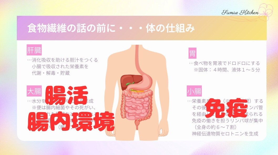 子育てに役立つ栄養学の基礎知識をお伝えします 元気で賢い子に育てたいなら知っておきたい【食物繊維】の基本 イメージ2