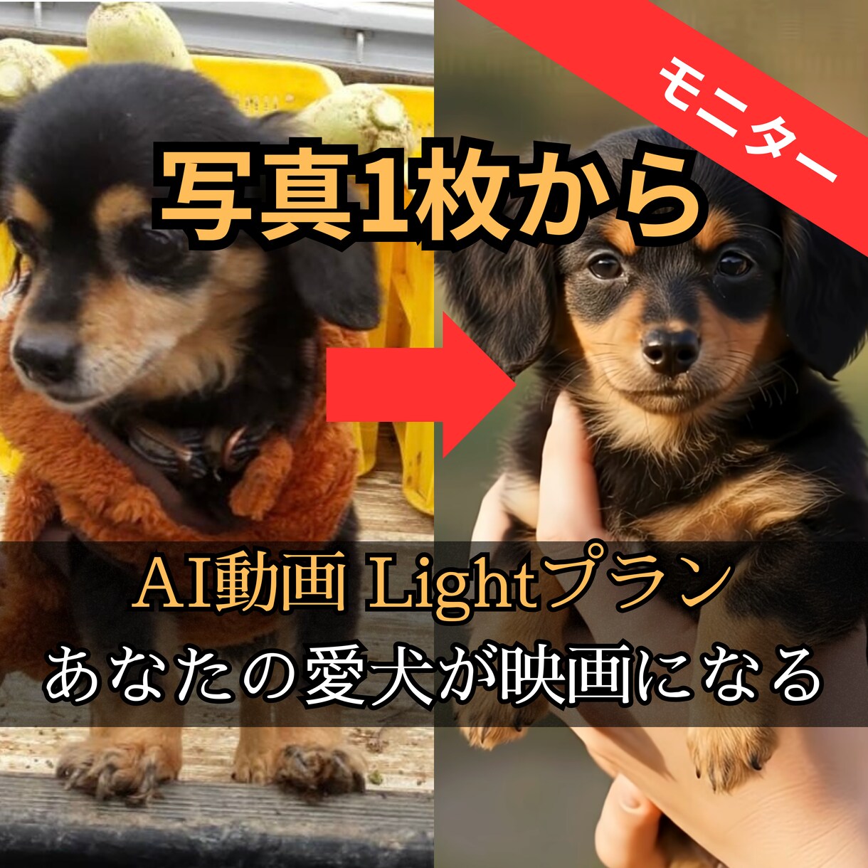 写真1枚でOK！愛犬のショート映画を作ります SNS総フォロワー１２万人！ AI技術で愛犬を映画の主人公に イメージ1