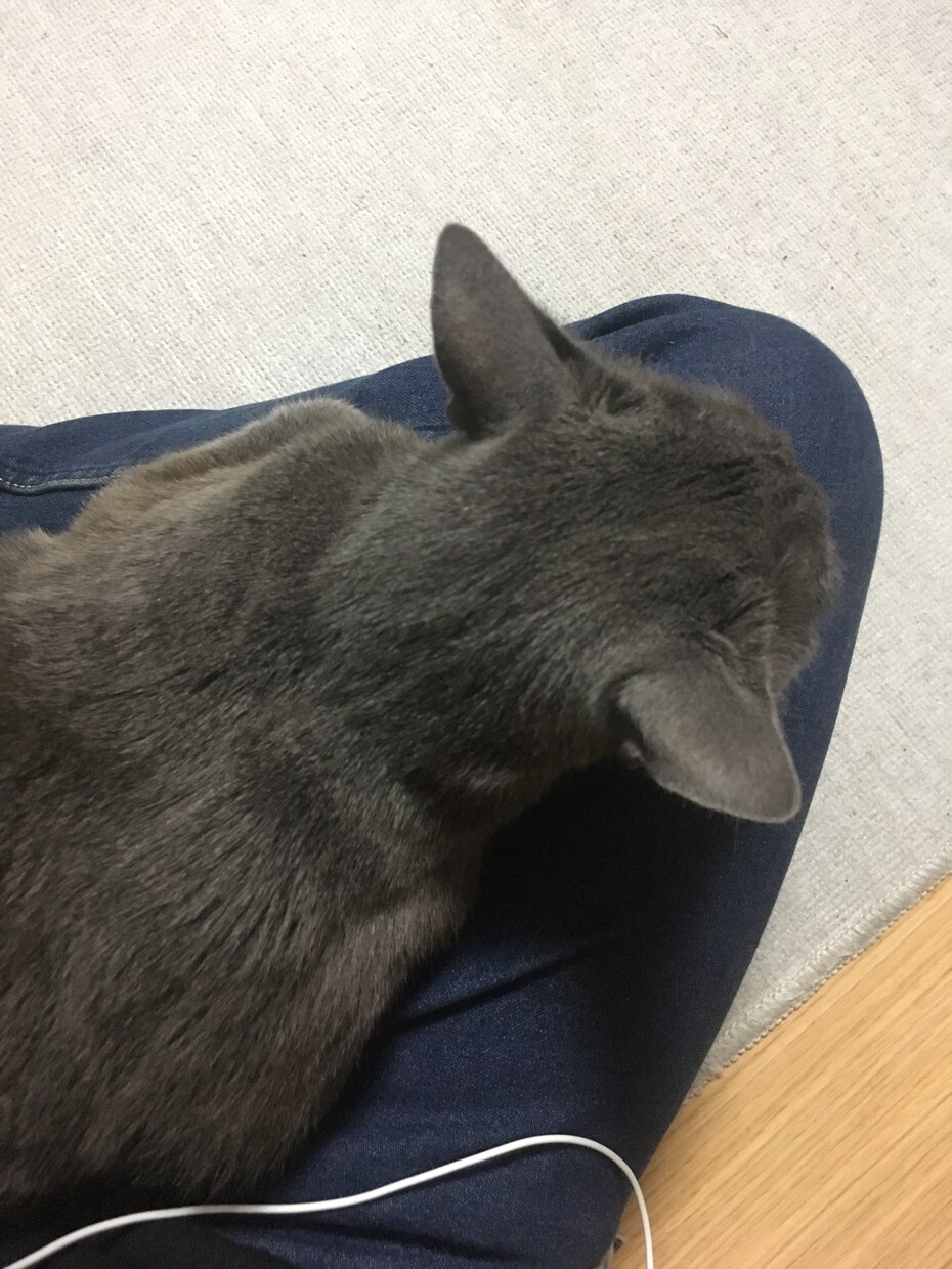 辛い事や愚痴、なんでも聞きます 話す相手がいない方、僕が聞きます イメージ1