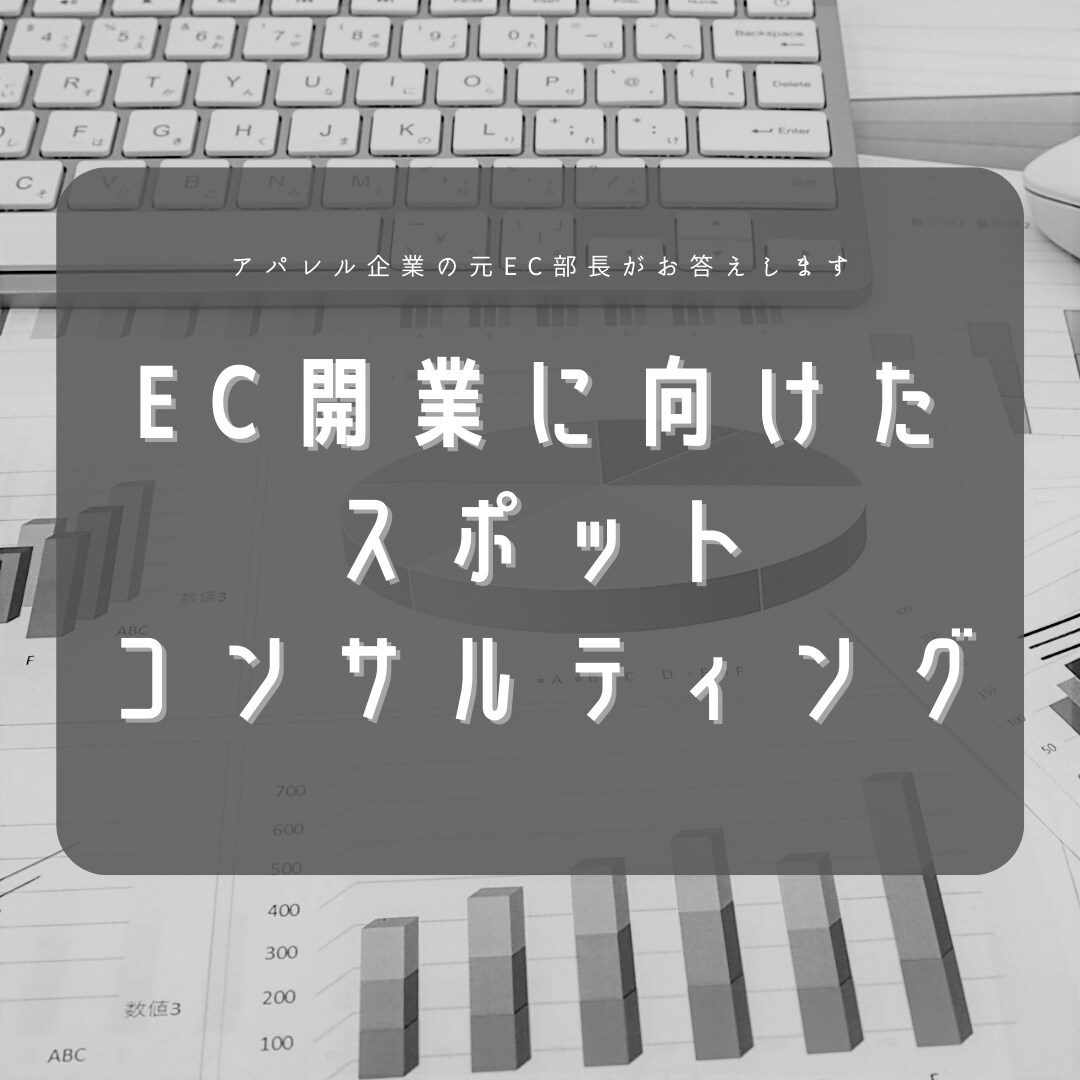 EC開業に向けたスポットコンサルティングをします 自社、各モールの経験を活かし、EC開業への道筋をお示しします イメージ1