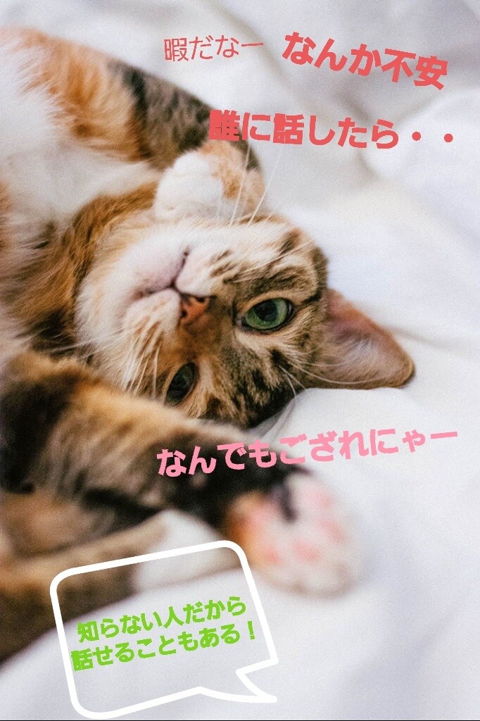 カウンセラーがあなたの気持ちに寄り添います 暇潰しでも良し！話したいことたまってませんか！？ イメージ1