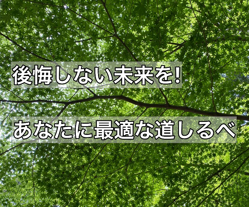 48時間以内！あなたの人生をナビゲートします 『あなた専用』の人生の地図で、未来への道を明確に。 イメージ2