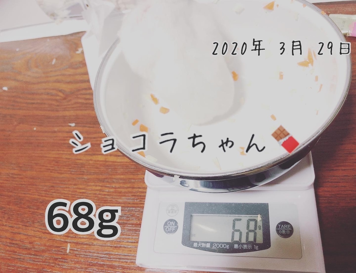 ハムスターの相談に乗ります 薔薇です。お世話になってます。ハムスター飼ってます。 イメージ9