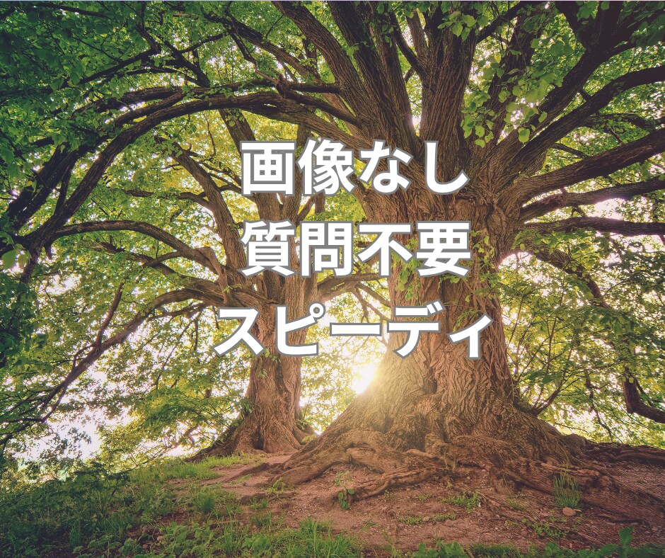 あなたの本質と今必要な『進むべき道』を占います 【500円鑑定】四柱推命×タロットのメッセージ イメージ10
