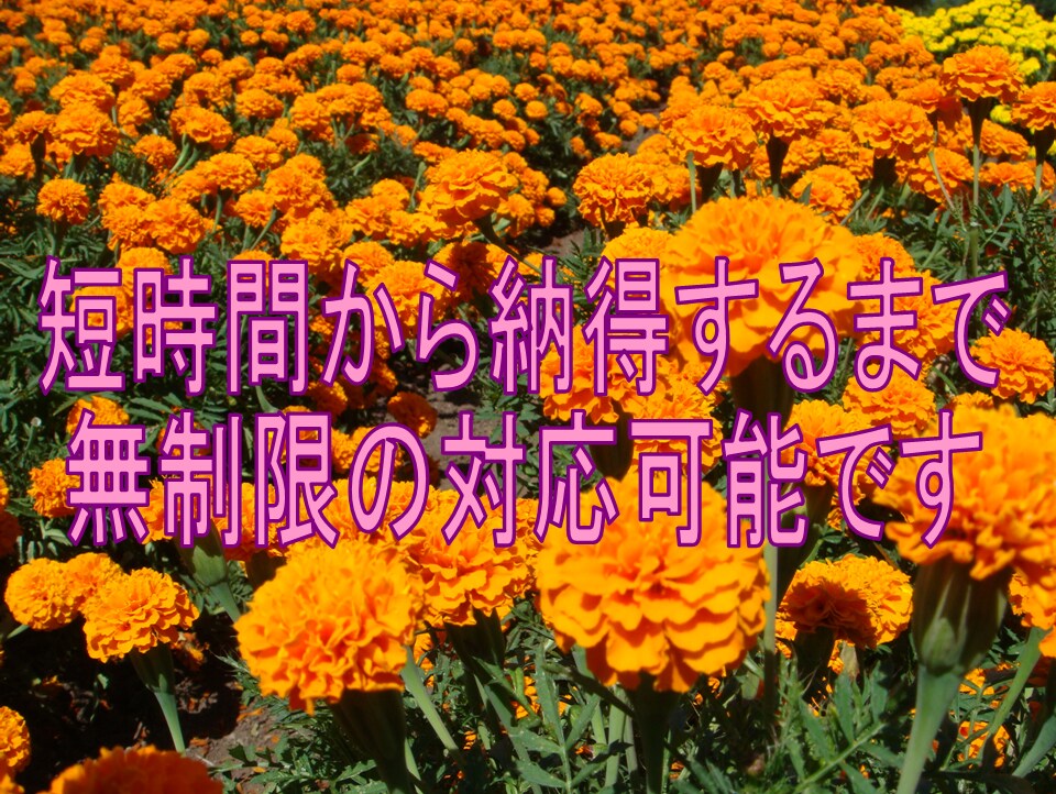 現在の状況から、あなたの未来将来を透視し占います ☯未来を知りたい☯希望の未来にしたい☯あなたへ易占通話鑑定 イメージ7