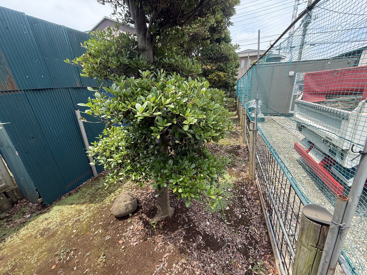 梅…お手頃価格でご希望通りの画像編集/加工致します 個人の趣味や、ちょっとした画像編集にオススメ イメージ15