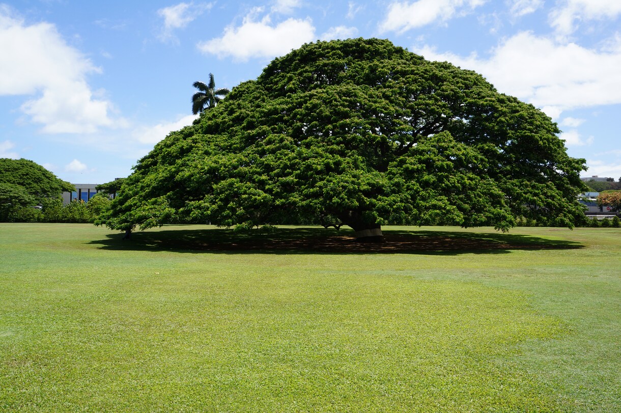 卓球・ゴルフができます。お話だけでもできます 空いてる時間に利用してもらえれば イメージ1