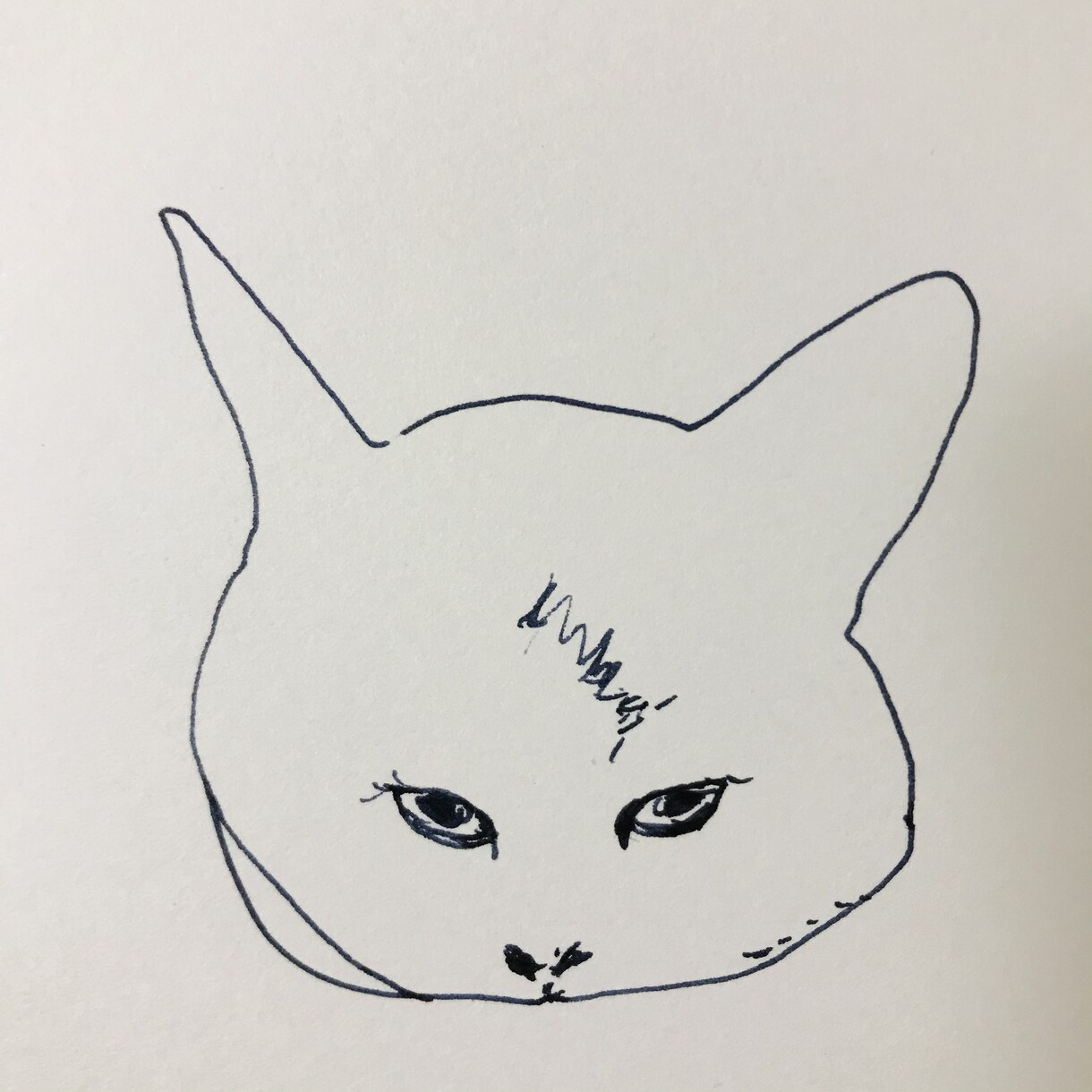 色んな猫　描きます ご自身のペット似顔絵・アイコン、猫好きの方に♡ イメージ2