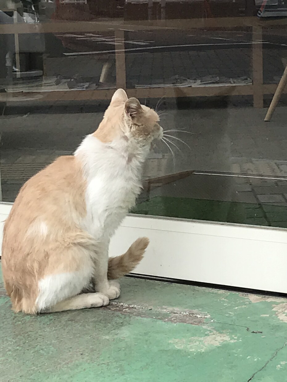 あなたの普通でつまらない話を面白くします ただの日常も角度を変えると面白くなる！ イメージ2