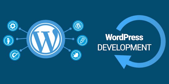 成果が高まるWordpressカスタマイズします 今のサイトを良くしたいけどなかなか時間が取れない方へ イメージ1