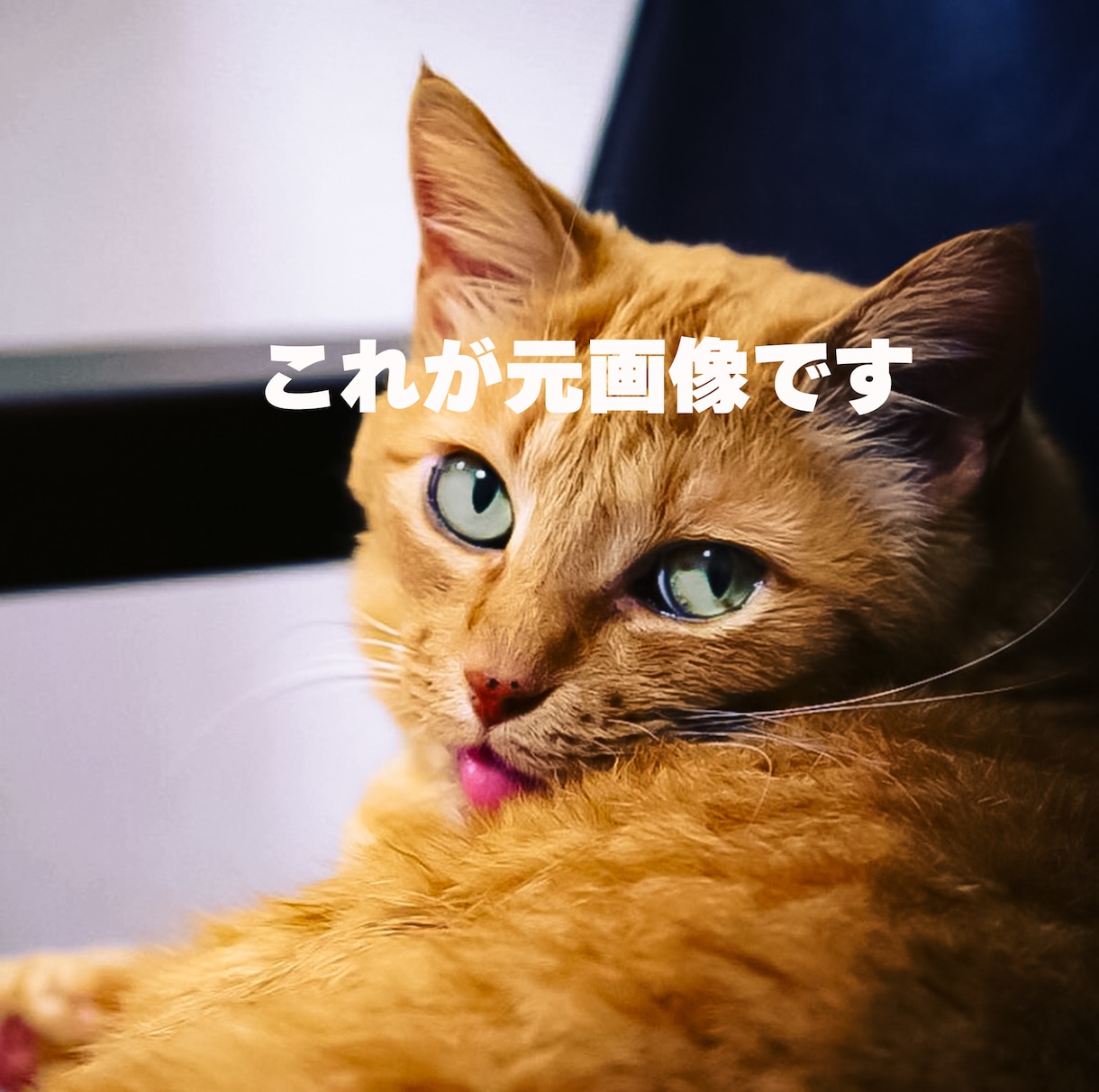記念日やギフトに！名画や季節の背景で加工します 真珠の耳飾りの少女風など、世界に一枚のアートへ仕上げます イメージ2