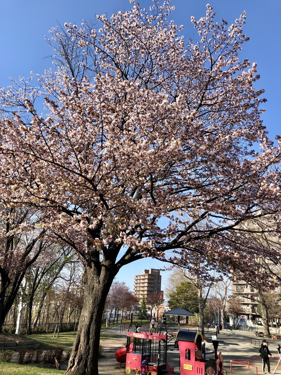 60分！即レスでお話し相手になります 人生経験それなりの30代女子があなたのお話し聞きます♪ イメージ9