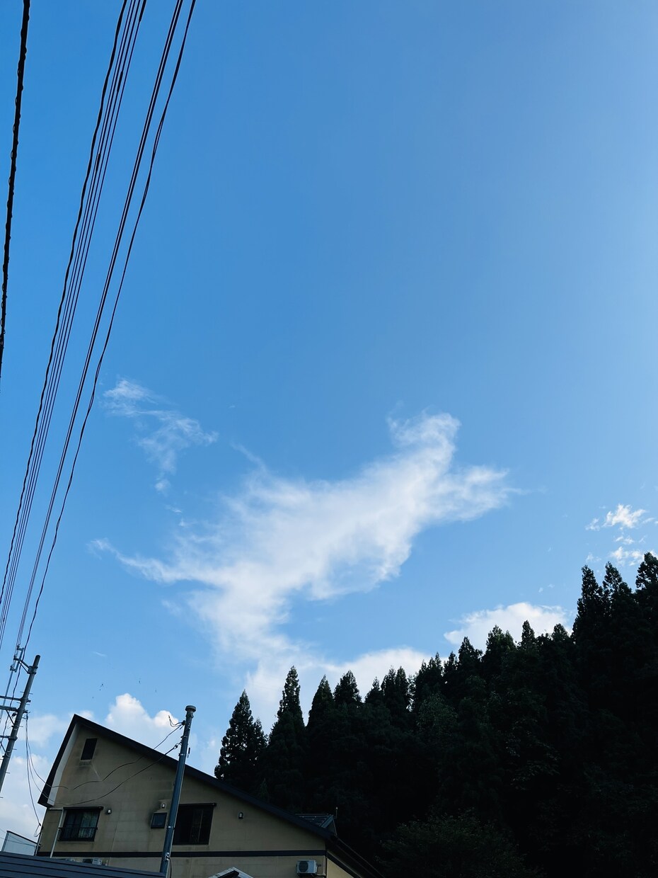 お家の浄化 厄除け方法を教えます 簡単で効果が高い方法になります イメージ1