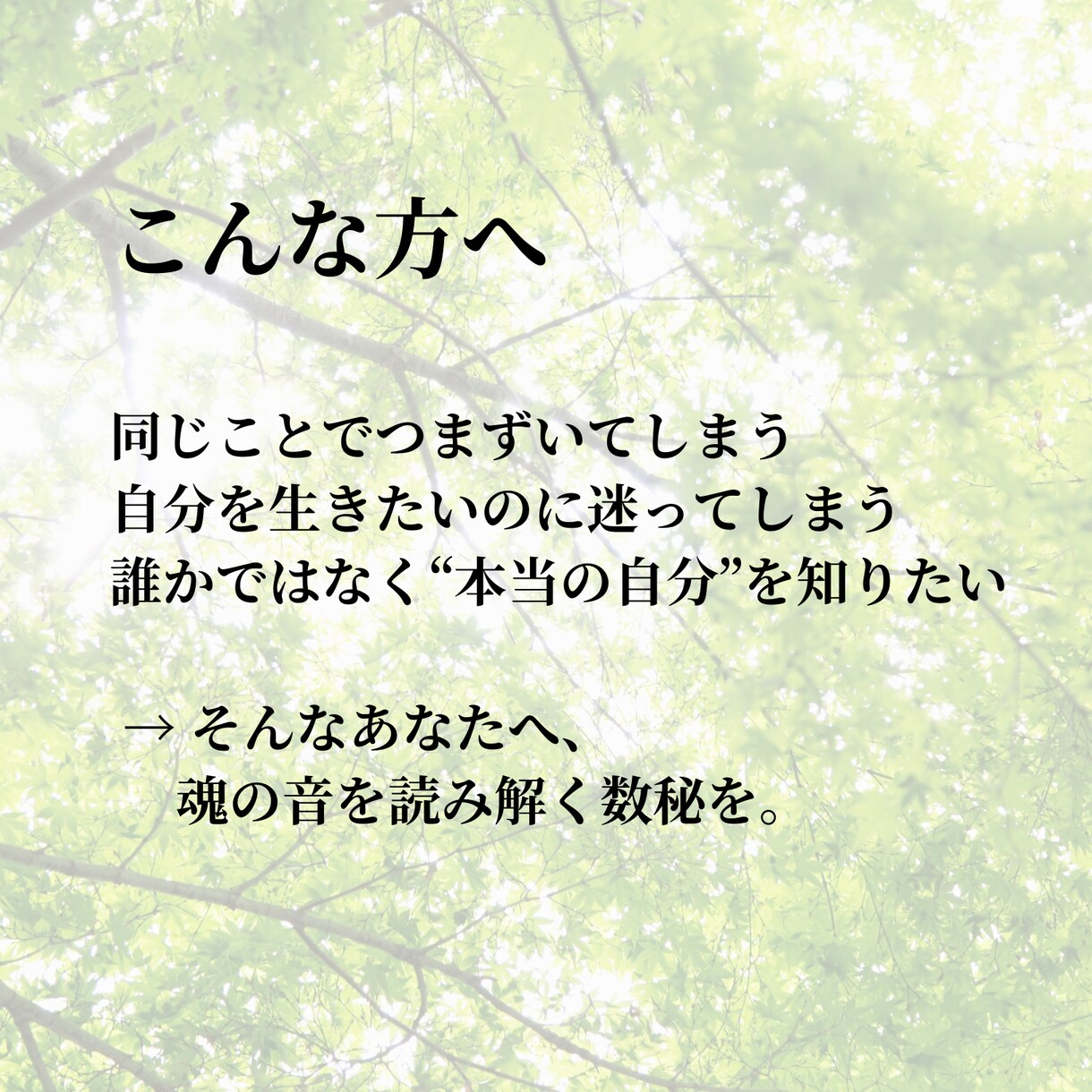 誠実に対応。あなたの天命お伝えします 2500年続く奥深い世界へ。明るい未来へ一緒に行きましょう。 イメージ2