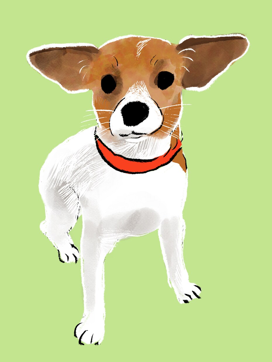 キュン！かわいいペットのイラストを描きます オリジナルグッズの制作にもおススメ♩ イメージ3
