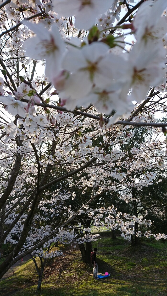 誰かと話したい時などお話できたらと思います 少しでも楽になれる人がいればいいな、と思います。 イメージ1