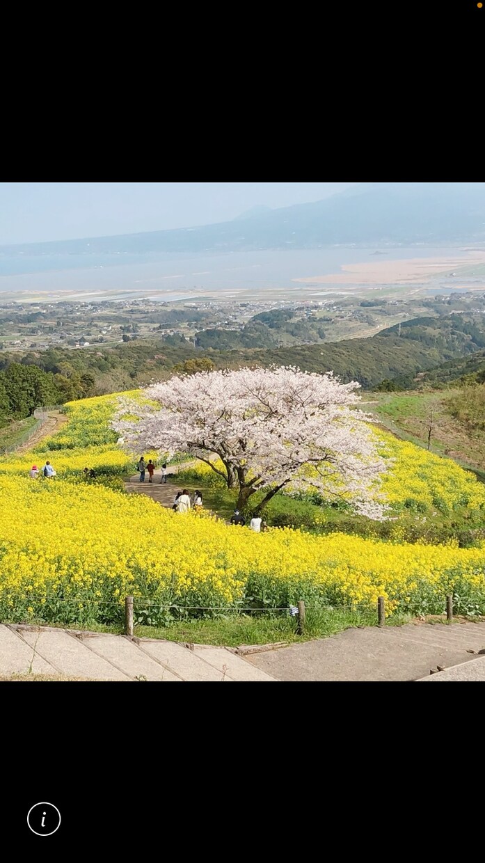 自分の素直な気持ちと心構えをカウンセラーが教えます 優しくされると苦しく、冷たくされると泣きたくなる恋愛に届け！ イメージ1