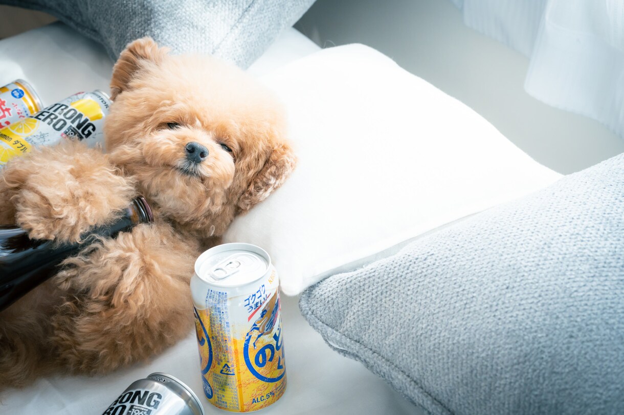 眠れぬ夜に…低音ボイスで眠くなるまでお話聴きます ちょこっと話して気分転換✨5分のお試しも◎ イメージ8