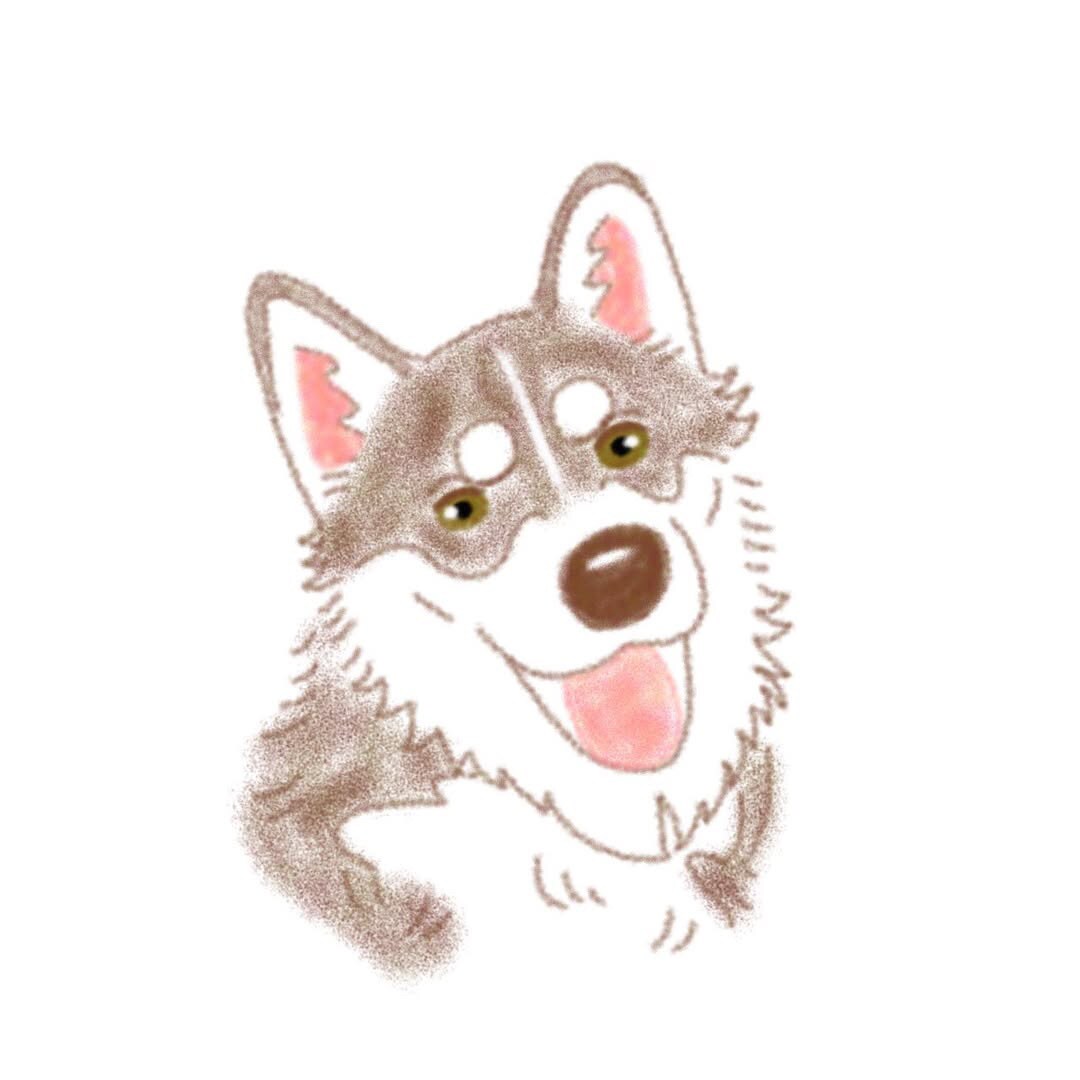 愛犬のイラストを描きます 世界一可愛いあなたの愛犬イラスト柔らかいタッチのイラスト イメージ4