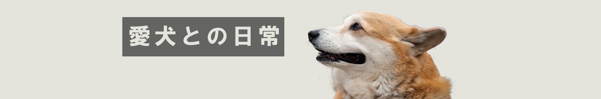YouTube用バナーの作成いたします YouTubeチャンネルでのヘッダー、バナーを作成いたします イメージ4
