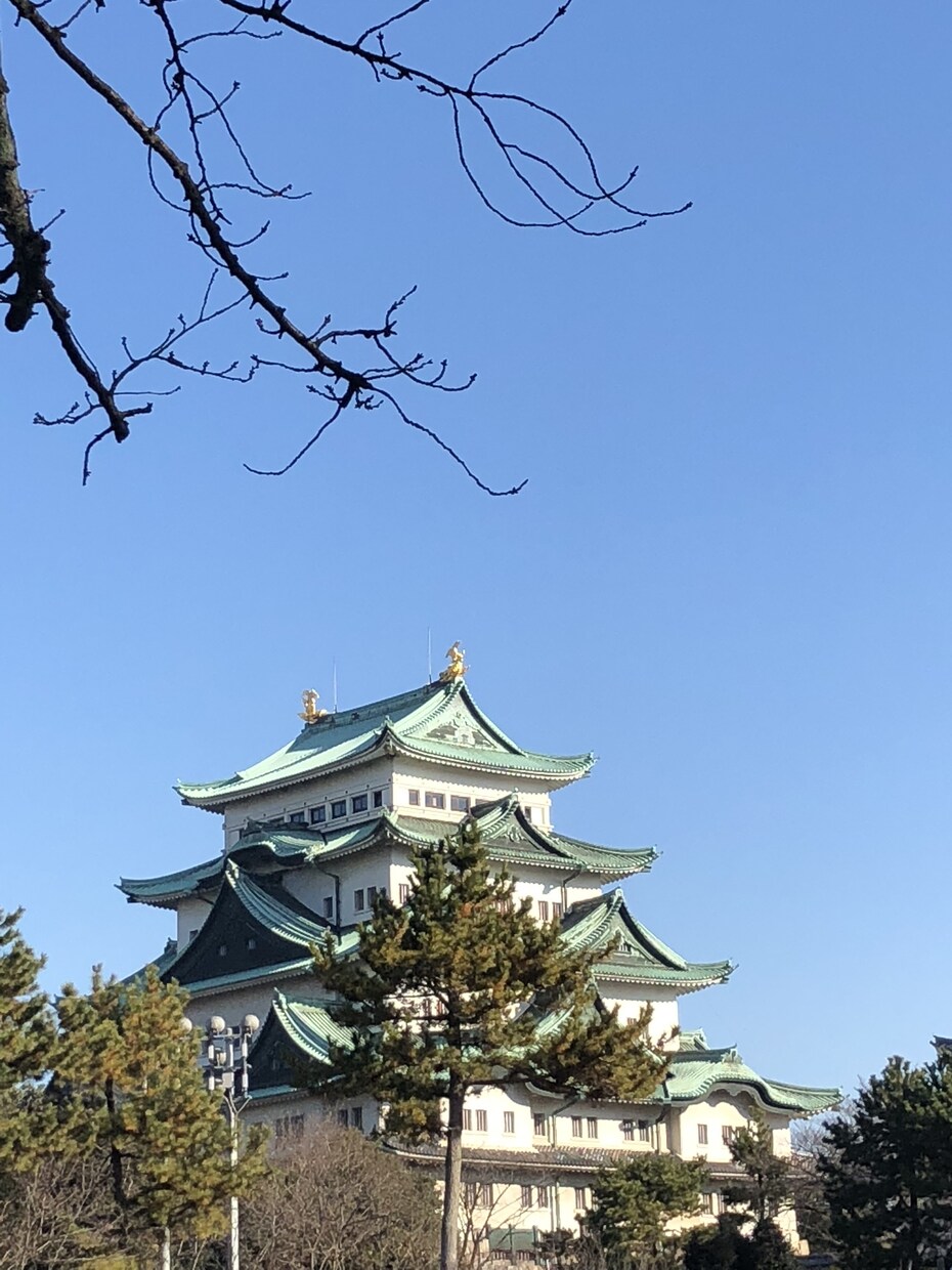 愚痴や相談など何でもOK！1日話し相手になります 寂しいとき、誰かに愚痴を聞いて欲しいときありますよね？ イメージ1