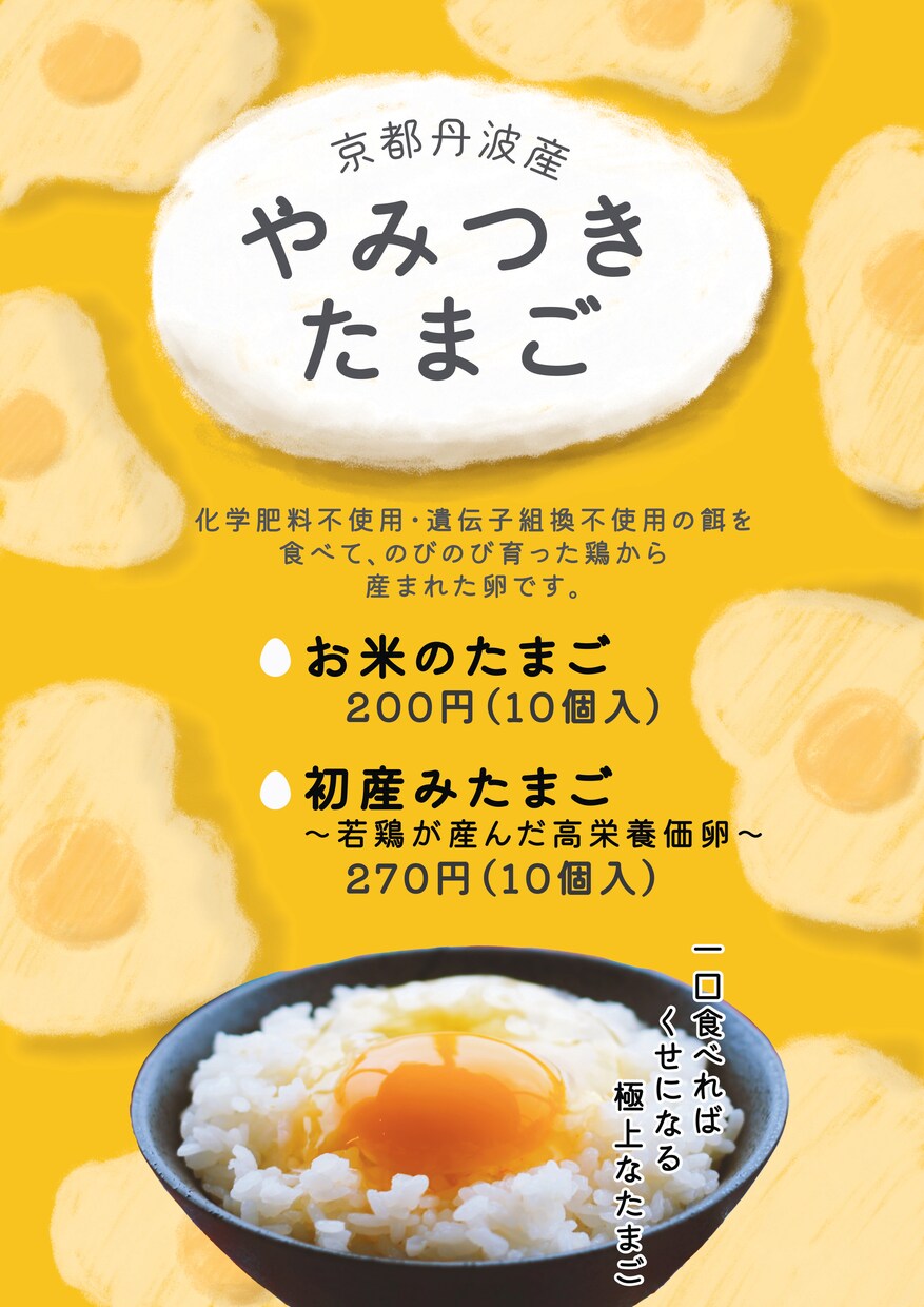 伝わるに特化。シンプルで効果的なチラシを作成します 起業・開業する方・イメージを変えたい方へ イメージ3