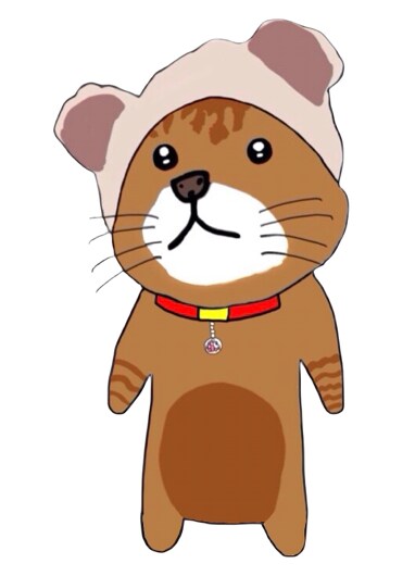 猫好きには必見でございます 可愛いゆるふわな茶トラのちょ太郎！可愛さは正義！ イメージ1
