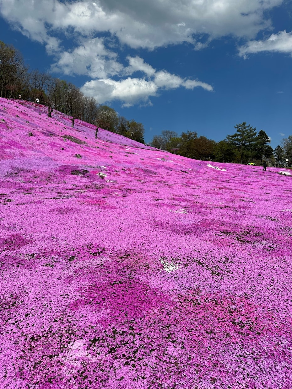 北海道旅行がより充実するようサポートします ★北海道観光マスターによる道内各種コンテンツ情報をご案内 イメージ2