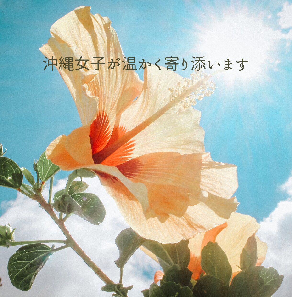 30分チャット☘️スキマ時間の話し相手になります LINE感覚★愚痴/悩み/暇/寂しい/秘密/お試し イメージ9