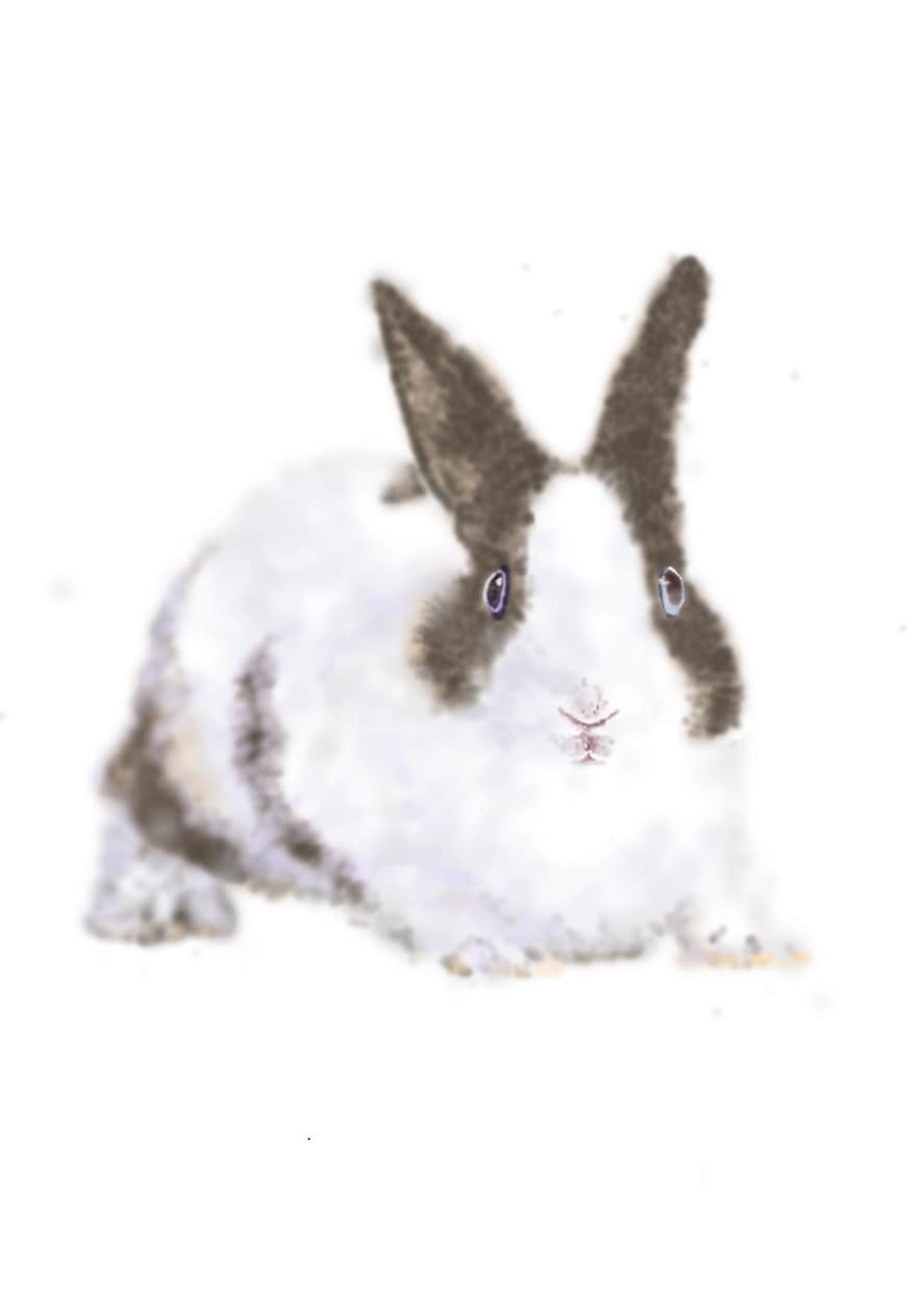 特別な瞬間をペットのイラストで書きます ペットさんがかわいく着飾ったイラストはいりませんか？ イメージ2