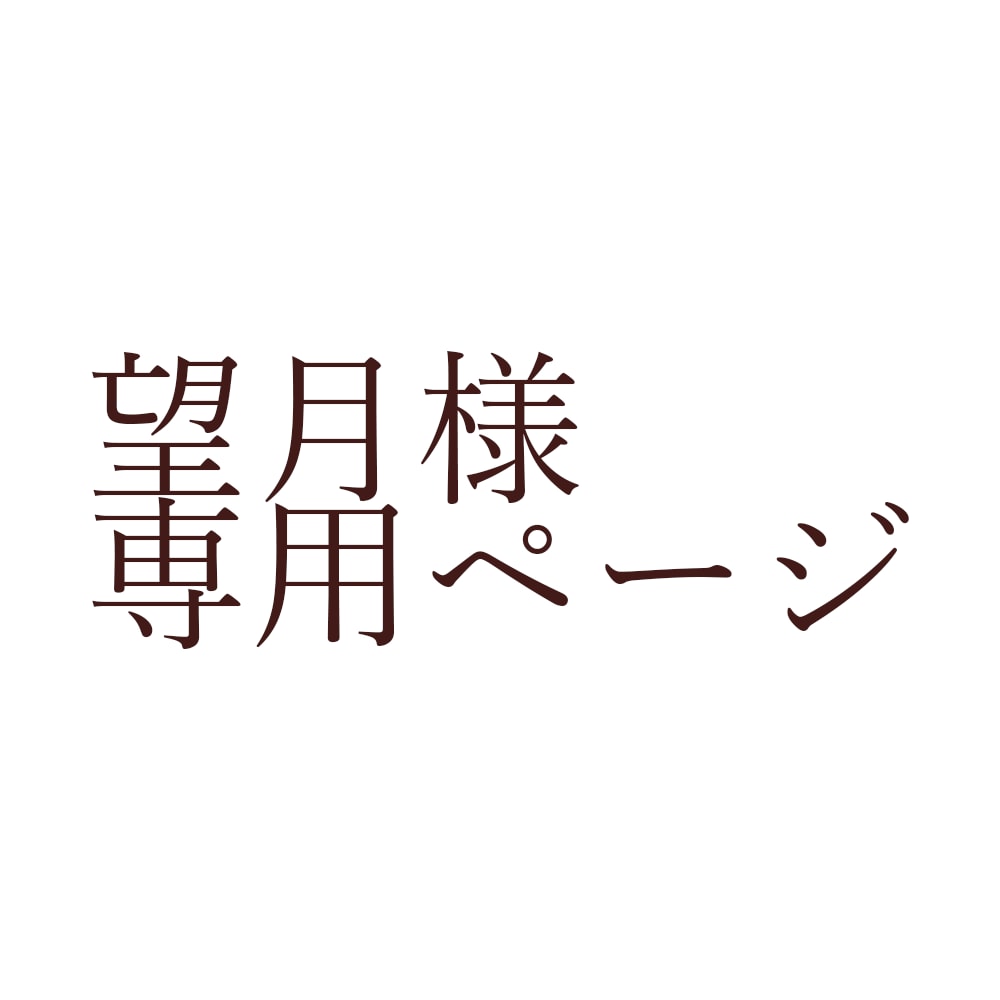 望月様専用（藍斗様）ページとなっております こちらは望月様（藍斗様）専用ページです。