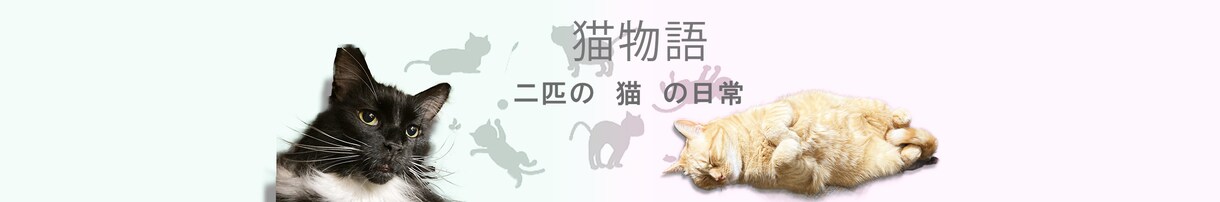YouTube用バナーの作成いたします YouTubeチャンネルでのヘッダー、バナーを作成いたします イメージ3